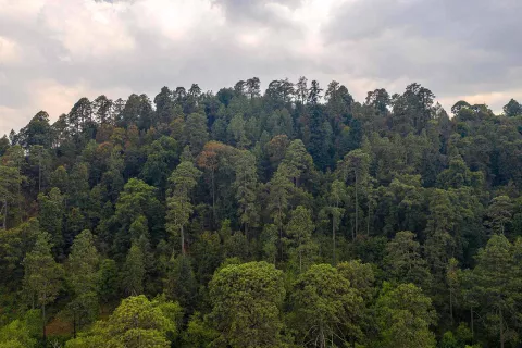 Parque Nacional Izta-Popo